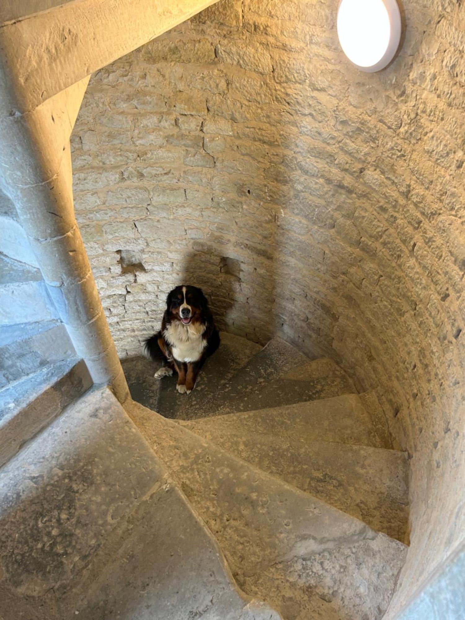 Privatunterkunft Chateau De Franquetot & D Day Collins Museum Sainte-Mère-Église
